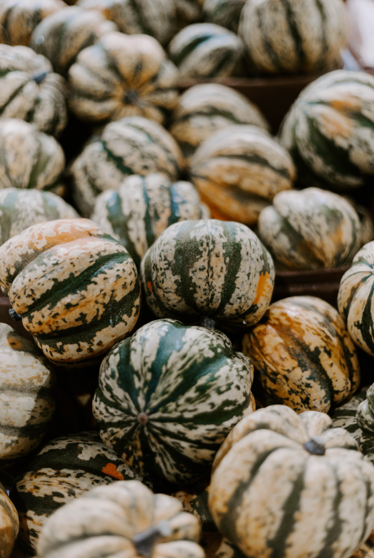 Fall Produce: Seasonal Shopping Guide